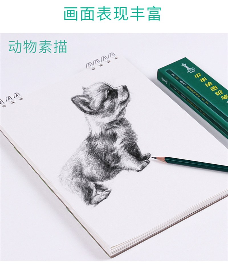 ҳ11л 101 2BͼǦʿǦ 12֧/