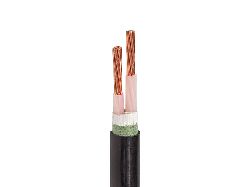 Զ ͭоϩԵ׵ VV-0.61kV-570  100m 1