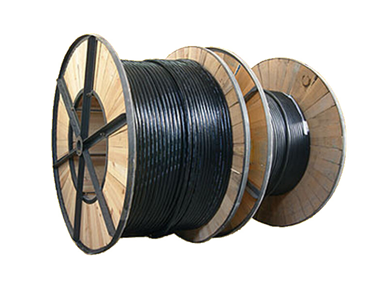 Զ ͭоϩԵ׵ VV-0.61kV-570  100m 1
