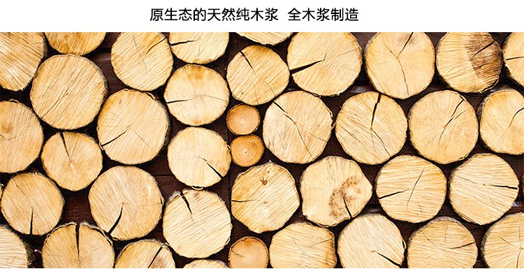 ӡֽ80G A3 ɫ500Ű 5