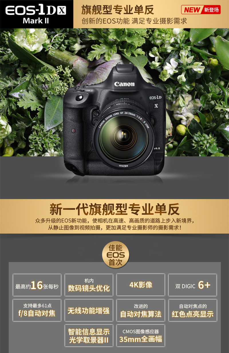 Canon/EOS1DX MarkII 뵥 1DX2 רҵ콢 EOS 1DXII ٷ