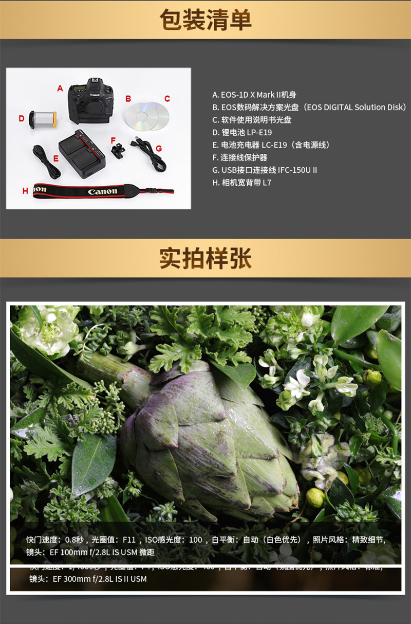 Canon/EOS1DX MarkII 뵥 1DX2 רҵ콢 EOS 1DXII ٷ