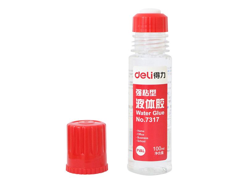 7317ˮ 100ml