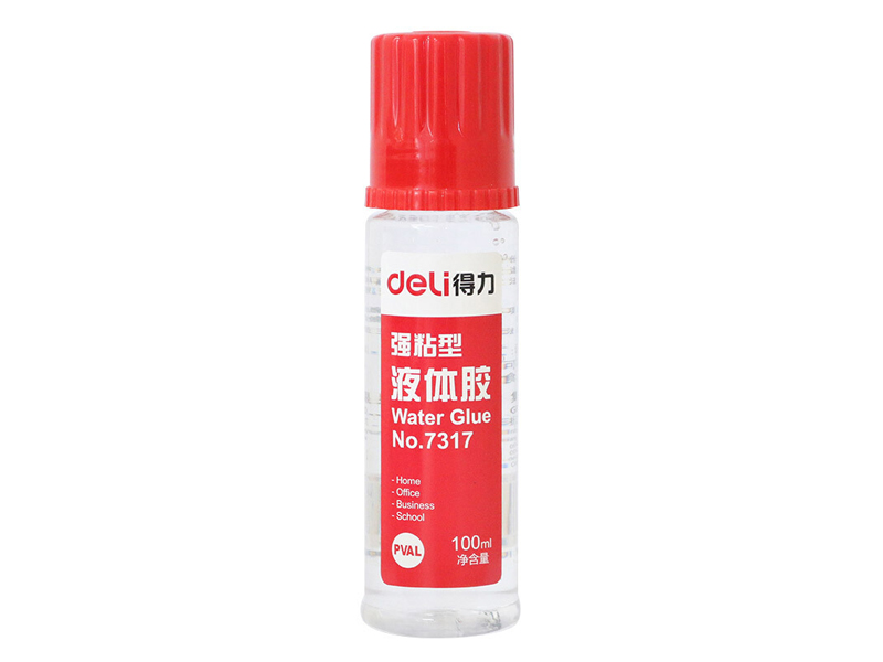 7317ˮ 100ml