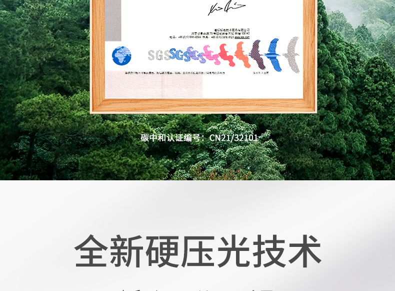 ̰80G A3ӡֽ500/